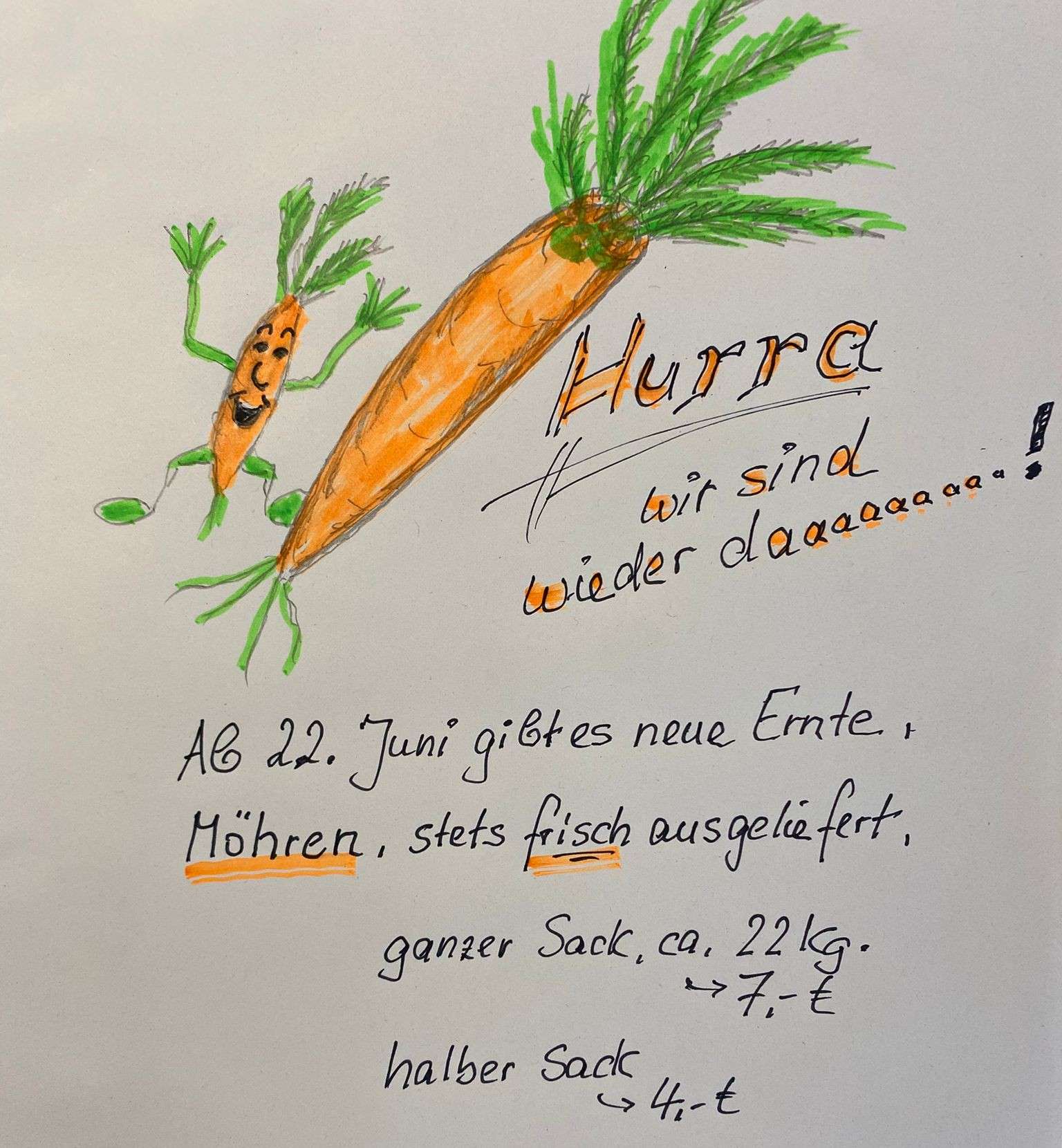 Es gibt wieder Futterkarotten ab dem 23. Juni 2026
